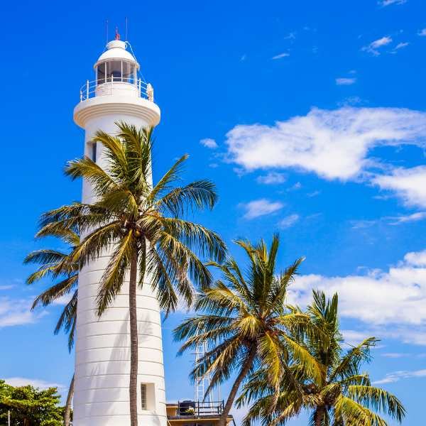 Galle
