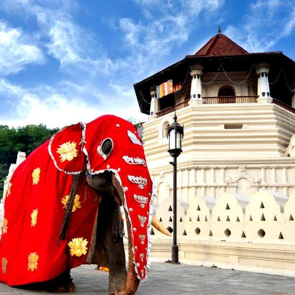 Kandy