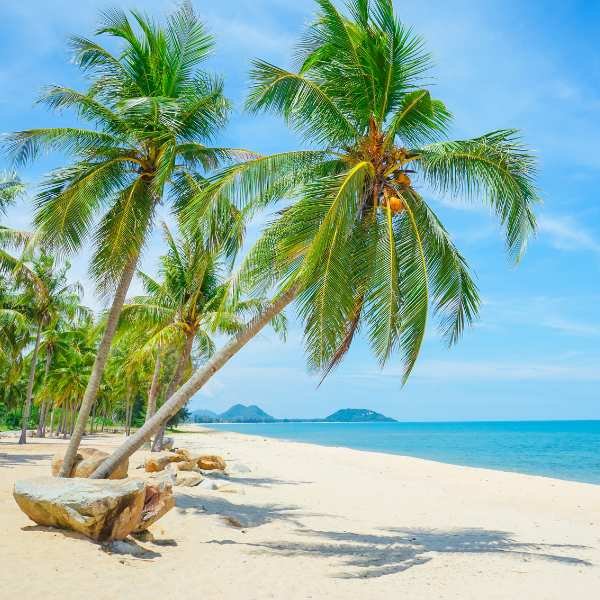 Mirissa