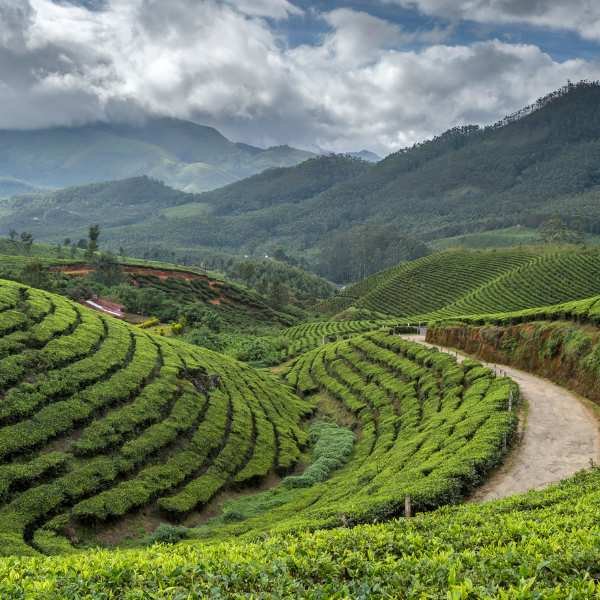 Nuwara Eliya