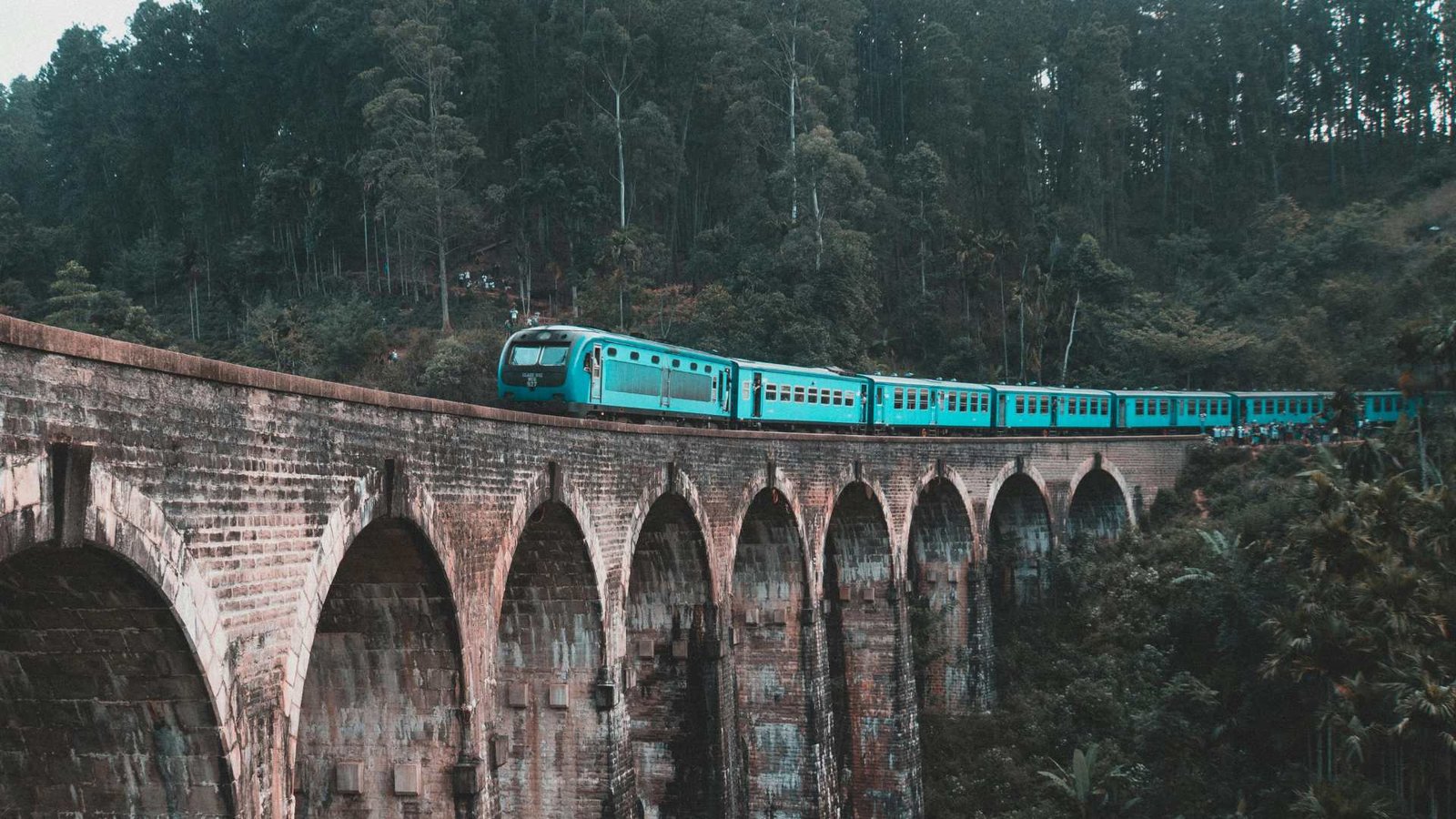 Misty tea hills & legendary trains
